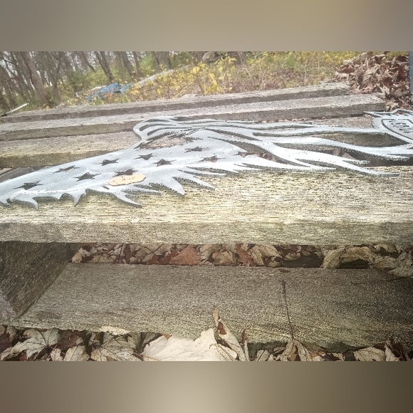 In God We Trust American 🦅 Eagle - Picture 5 of 12